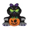 Halloween Evil Black Cat Mini Air Filled Balloon On Stick -Costumes Sales 424159 rs