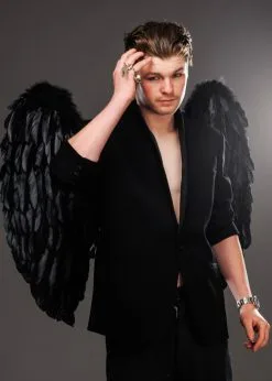 Mens Large Black Feather Gothic Angel Wings -Costumes Sales 52816 mens large black feather wings 02