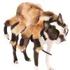 Halloween Hairy Spider Pet Dog Costume