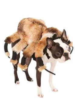 Halloween Hairy Spider Pet Dog Costume
