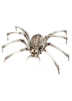 Halloween Large Prop Spider Skeleton Decoration