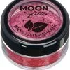 Biodegradable Fine Pink Glitter Shaker -Costumes Sales G13757rs