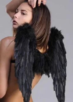 Gothic Fallen Angel Black Feather Wings