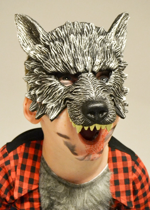 Childrens Halloween Grey Wolf Half Face Werewolf Mask 4 Childrens Halloween Grey Wolf Half Face Werewolf Mask - Image 2