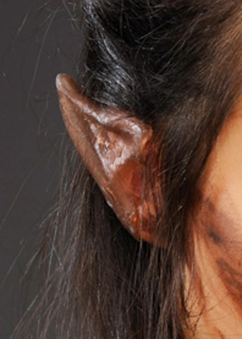 Werewolf Pointed Brown Fake Ear Tips 4 Werewolf Pointed Brown Fake Ear Tips - Image 2