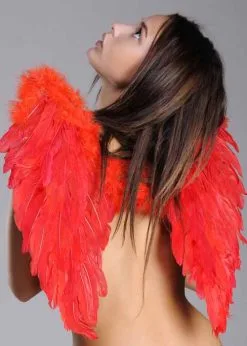 Halloween Gothic Red Feather Angel Wings